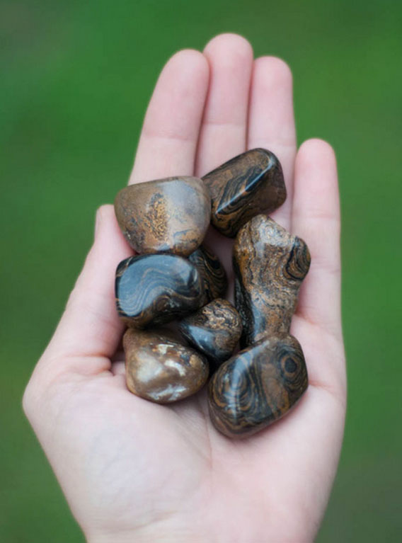 Tumbled Stromatolite